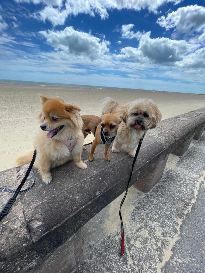 Bon-ami Gasthuis Lowestoft
